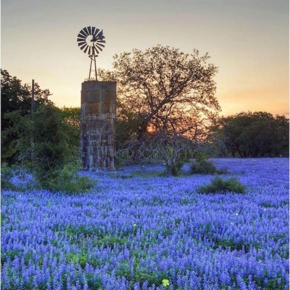 Meet your Posher, Michael - Picture 1 of 1